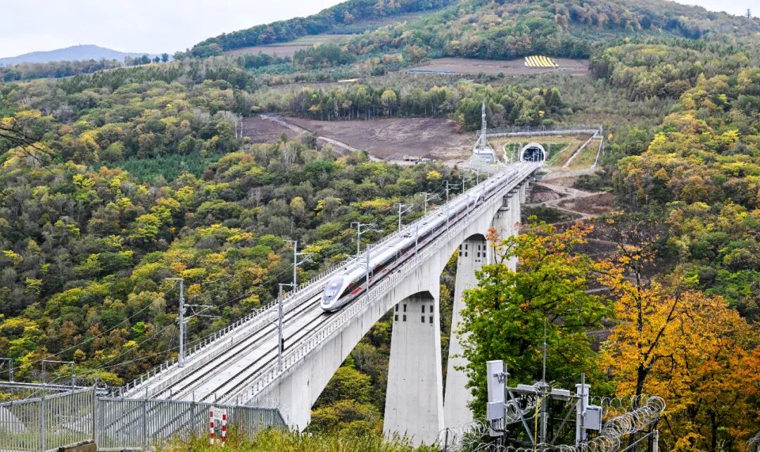 �й�������Ե������׸�������